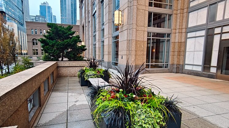 Plaza planters at 1201 Third