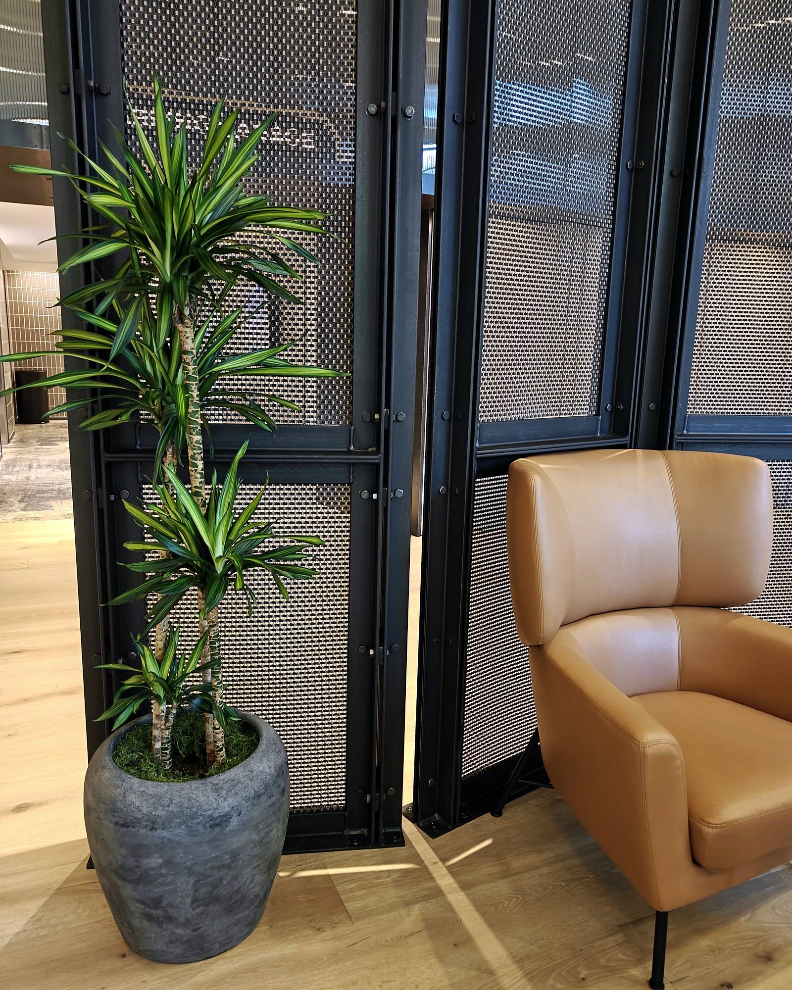 Dracaena at One Convention Place