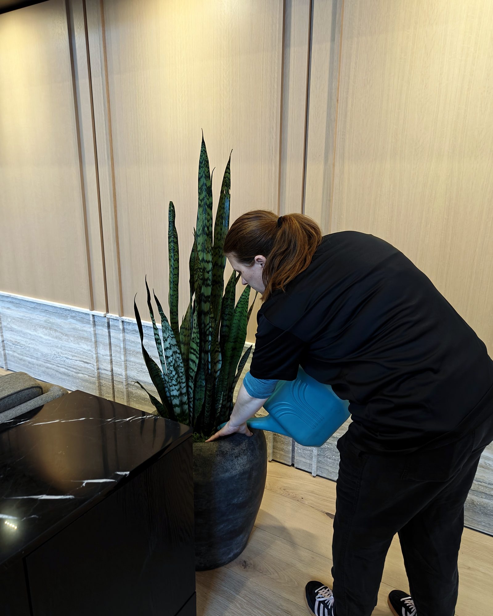 PBS Greenery technician watering plants